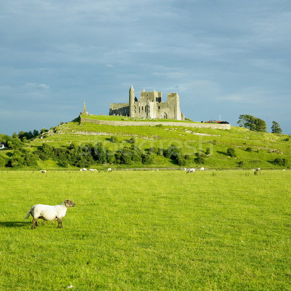 Rock of Cashel, County Tipperary, Ireland Stock photo © phbcz