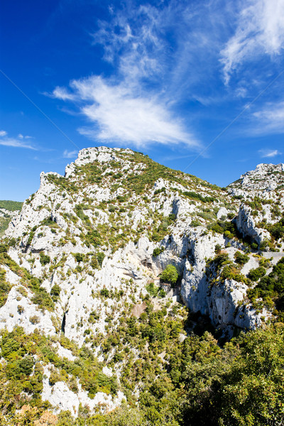 Galamus Gorge, Languedoc-Roussillon, France Stock photo © phbcz