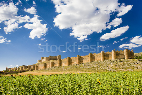 Berlanga de Duero Castle, Soria Province, Castile and Leon, Spai Stock photo © phbcz