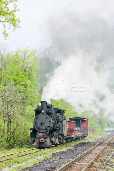 Keskeny kaliber vasút vonat Európa gőz Stock fotó © phbcz