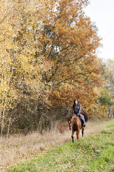 Pferderücken herbstlich Natur Frauen Pferd Stock foto © phbcz