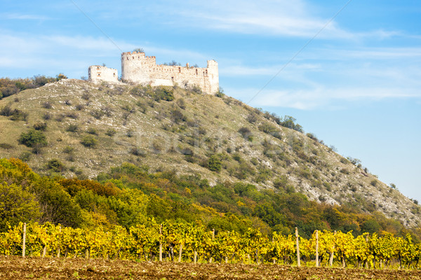 Ruinen Burg Weinberg Herbst Tschechische Republik Gebäude Stock foto © phbcz