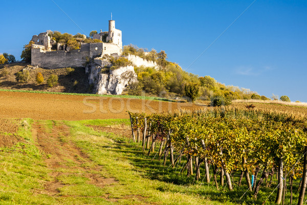 Foto stock: Ruínas · castelo · vinha · outono · baixar · Áustria