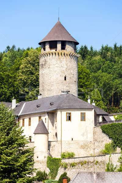 Burg senken Österreich Gebäude Reise Architektur Stock foto © phbcz