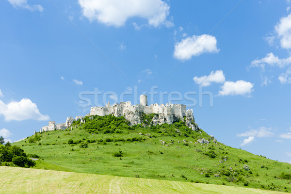 Spissky Castle, Slovakia Stock photo © phbcz