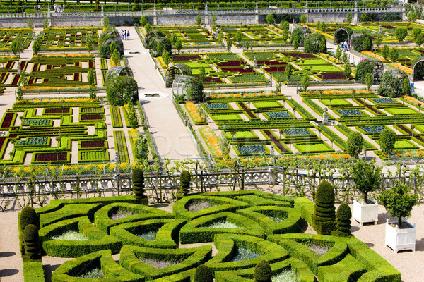 Villandry Castle's garden, Indre-et-Loire, Centre, France Stock photo © phbcz