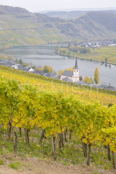 Stock photo: Piesport, Rheinland Pfalz, Germany