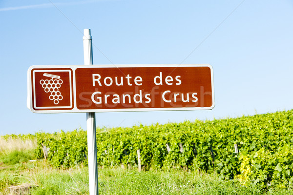 wine route, Burgundy, France Stock photo © phbcz