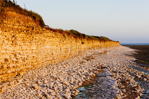 Stock photo: coast of Oleron Island, Poitou-Charentes, France