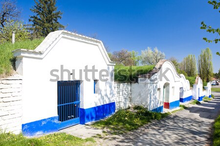 Chateau Cos, Bordeaux Region, France Stock photo © phbcz