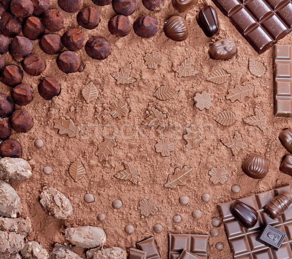Stock photo: still life of chocolate in cocoa