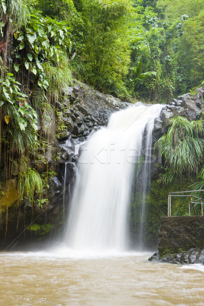 Grenada víz utazás ősz folyam zuhan Stock fotó © phbcz
