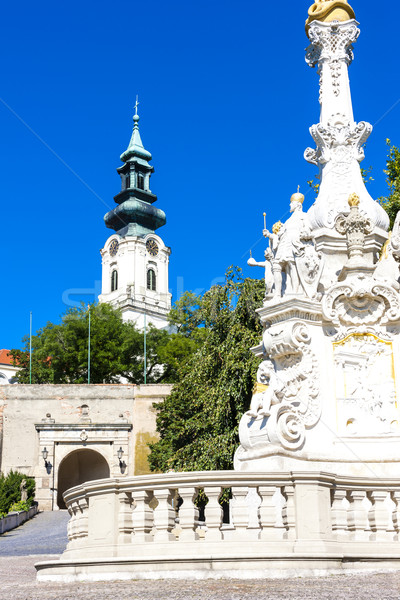 the plague column and castle in Nitra, Slovakia Stock photo © phbcz