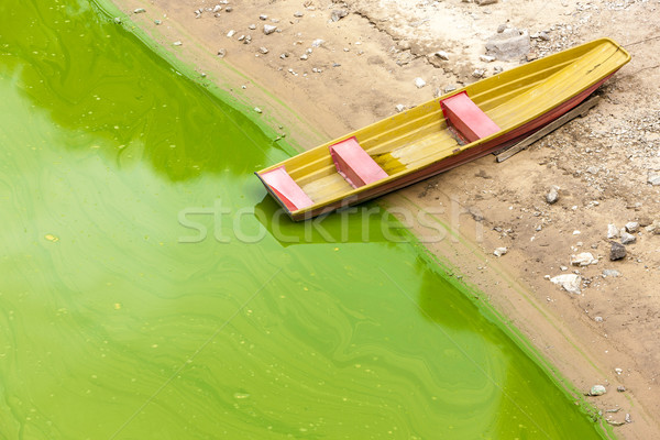 boat at Vranovska dam, Czech Republic Stock photo © phbcz