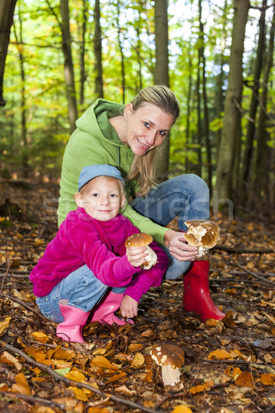 mother with her daughter doing mushroom picking Stock photo © phbcz