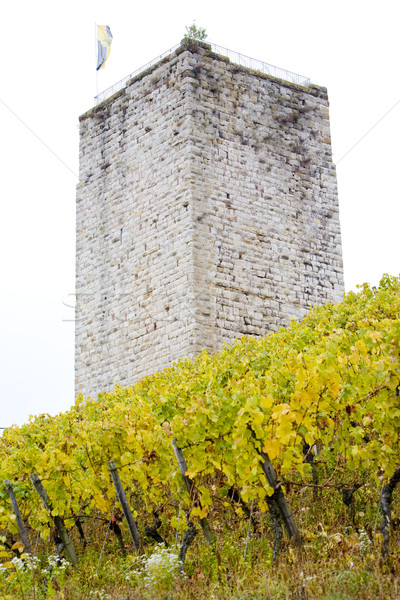 Schwabsburg Castle, Rheinland, Germany Stock photo © phbcz