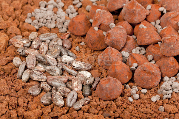 chocolate truffles and cocoa beans in cocoa Stock photo © phbcz