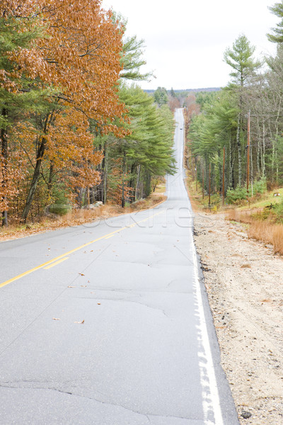 Stock photo: road, Maine, USA