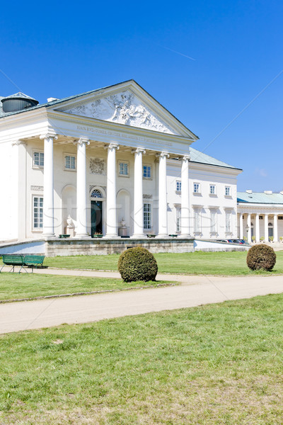 Kacina Palace, Czech Republic Stock photo © phbcz