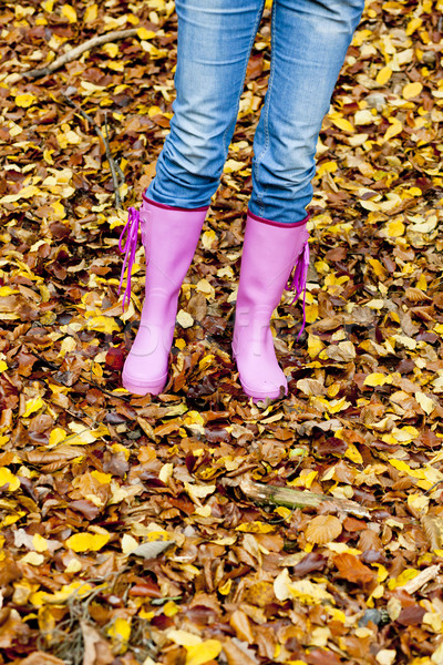 Szczegół kobieta jesienny charakter pozostawia jesienią Zdjęcia stock © phbcz