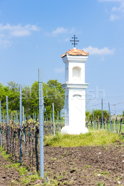 God''s torture with vineyard near Palava, Czech Republic Stock photo © phbcz