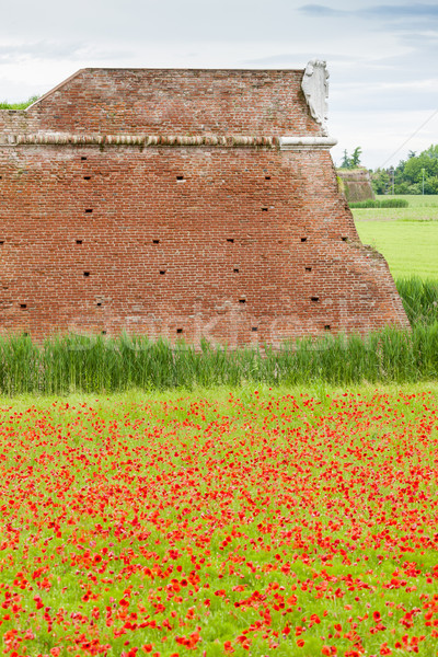 Erődítmény város Olaszország virág fal építészet Stock fotó © phbcz