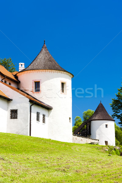 stronghold of Zumberk, Czech Republic Stock photo © phbcz
