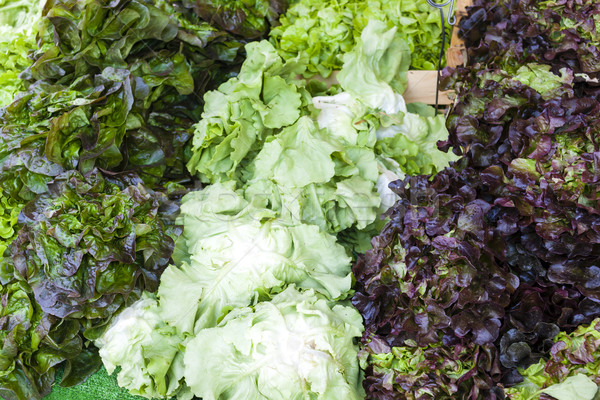 lettuce, market in Forcalquier, Provence, France Stock photo © phbcz