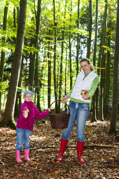 mother with her daughter doing mushroom picking Stock photo © phbcz