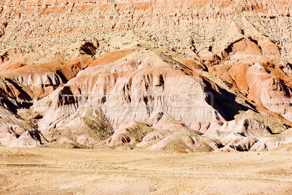Krajobraz Arizona USA rock krajobrazy skał Zdjęcia stock © phbcz