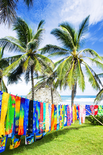 typical fabrics, Bathsheba, East coast of Barbados, Caribbean Stock photo © phbcz
