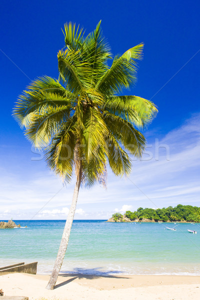 Parlatuvier Bay, Tobago Stock photo © phbcz