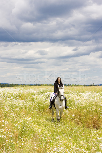 equestrian on horseback Stock photo © phbcz