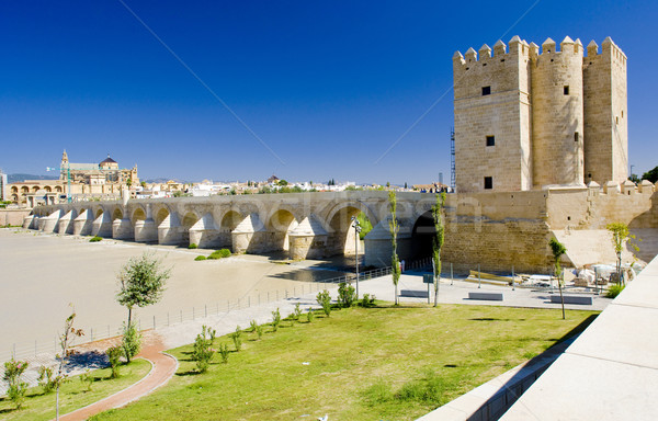 Roman bridge with Calahorra tower, Cordoba, Andalusia, Spain Stock photo © phbcz