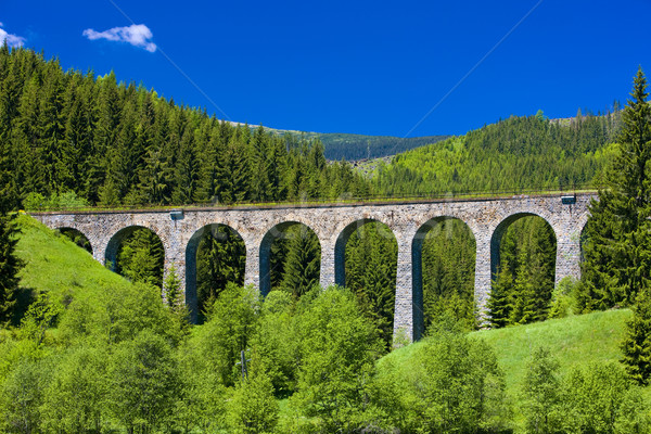 railway viaduct near Telgart, Slovakia Stock photo © phbcz