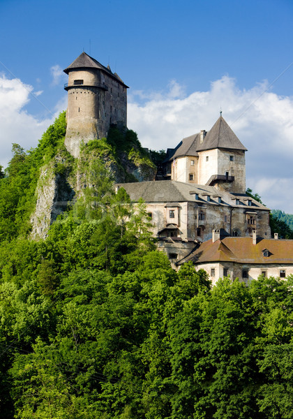 Castelo Eslováquia edifício arquitetura história ao ar livre Foto stock © phbcz