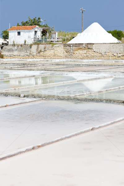 saline in Troncalhada, Beira, Portugal Stock photo © phbcz