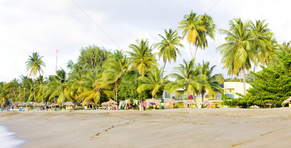 Tortuga playa árbol verano palma isla Foto stock © phbcz