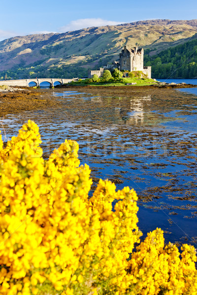 Eilean Donan Castle, Loch Duich, Scotland Stock photo © phbcz