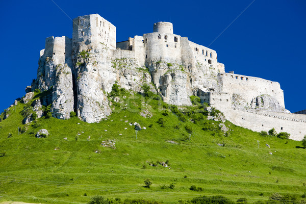 Spissky Castle, Slovakia Stock photo © phbcz