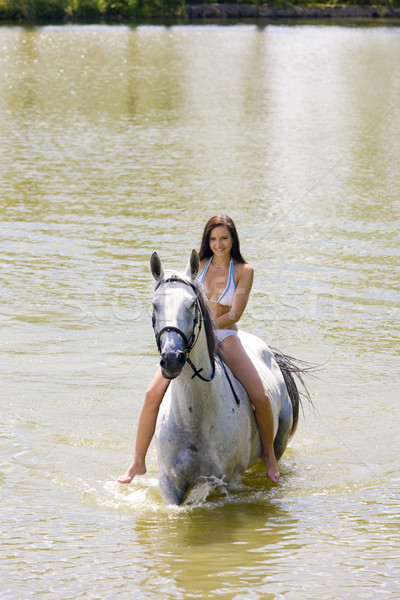 Equitazione acqua donna cavallo bikini Foto d'archivio © phbcz