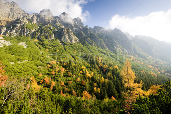 Stock photo: Great Cold Valley, Vysoke Tatry (High Tatras), Slovakia