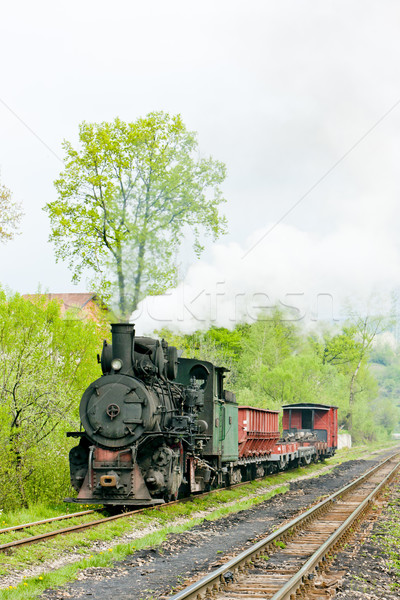 Dar demiryolu tren buhar açık havada Stok fotoğraf © phbcz