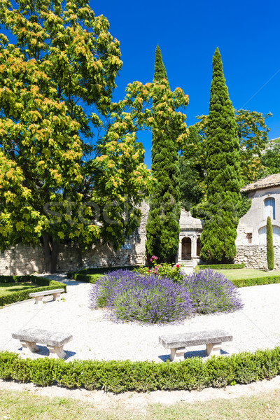 garden in Les Baux de-Provence, Provence, France Stock photo © phbcz