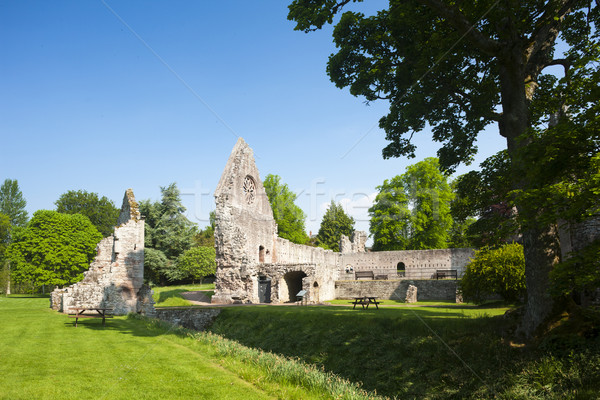 Ruines abdij Schotland gebouw architectuur Stockfoto © phbcz