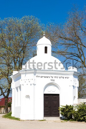 Jewish Cemetery, Podivin, Czech Republic Stock photo © phbcz