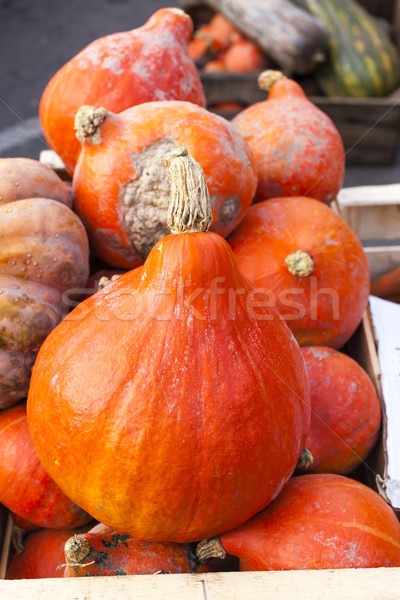 pumpkins, market in Forcalquier, Provence, France Stock photo © phbcz