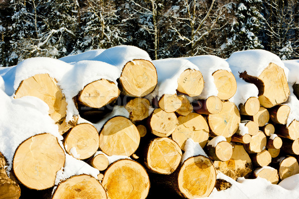 snow covered logs Stock photo © phbcz