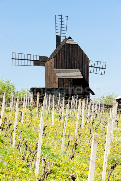 Holz Windmühle Weinberg Tschechische Republik Frühling Architektur Stock foto © phbcz