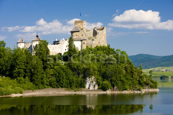 Niedzica Castle, Poland Stock photo © phbcz